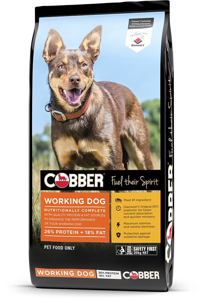 Cobber® Working Dog : Maximise performance - Cobber